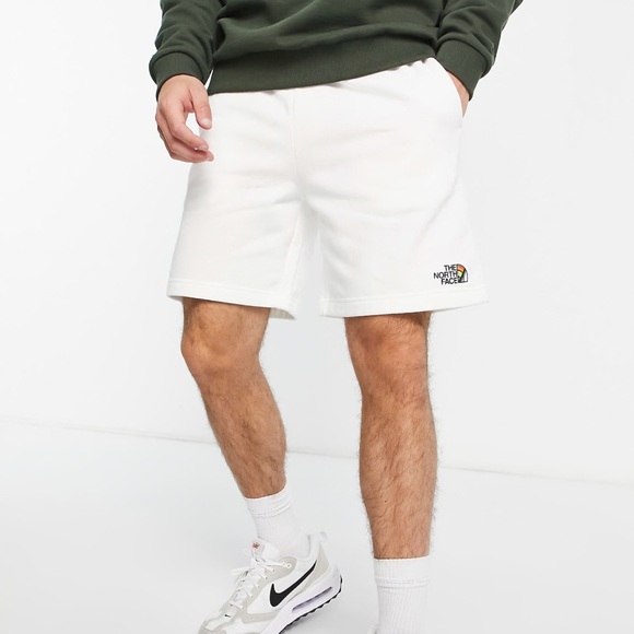 North Face Mens Pride Logo Shorts - Picture 3 of 3